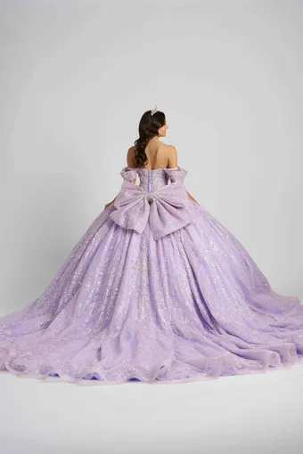 AmaBella Quinceanera Q1104 #5 default backface vertical thumbnail
