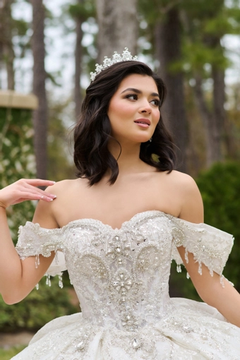AmaBella Quinceanera Q1104 #6 frontface vertical cropped thumbnail