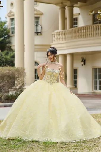AmaBella Quinceanera Q1105 #1 frontface vertical thumbnail