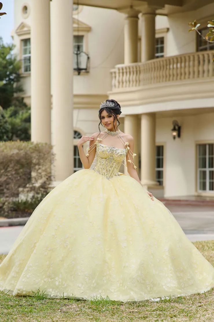 AmaBella Quinceanera Style #Q1105 #1 frontface vertical picture