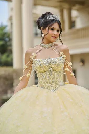 AmaBella Quinceanera Q1105 #7 frontface vertical cropped thumbnail