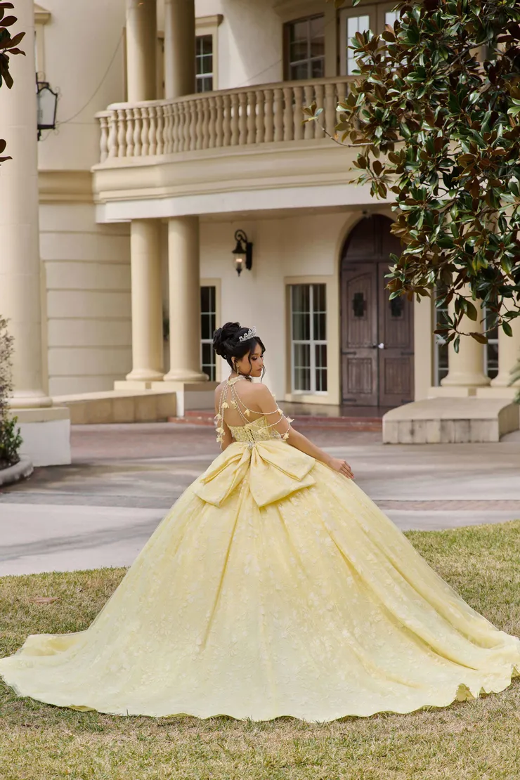AmaBella Quinceanera Style #Q1105 #1 default Light Yellow backface vertical picture