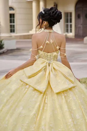 AmaBella Quinceanera Q1105 #13 backface vertical cropped thumbnail