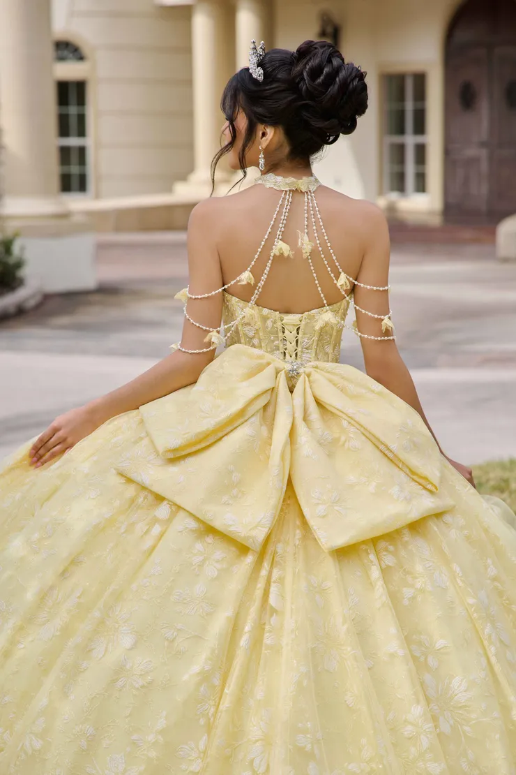 AmaBella Quinceanera Style #Q1105 #13 backface vertical cropped picture
