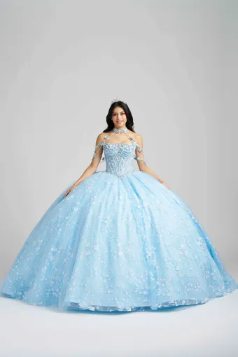 AmaBella Quinceanera Q1105 #2 frontface vertical thumbnail