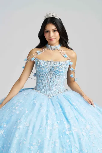 AmaBella Quinceanera Q1105 #6 frontface vertical cropped thumbnail