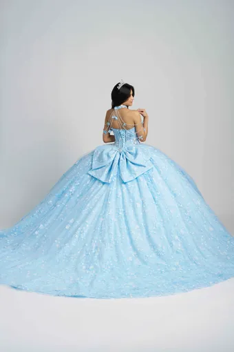 AmaBella Quinceanera Q1105 #4 backface vertical thumbnail