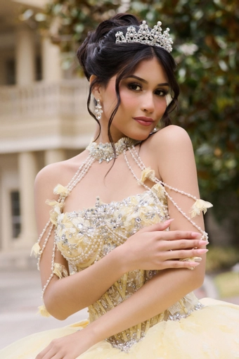 AmaBella Quinceanera Q1105 #9 frontface vertical cropped thumbnail