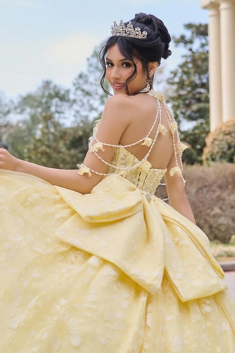AmaBella Quinceanera Q1105 #12 backface vertical cropped thumbnail