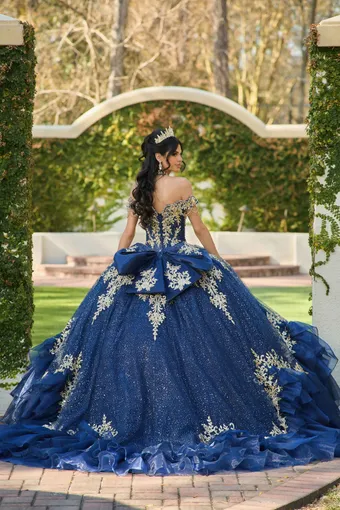 AmaBella Quinceanera Q1106 #6 backface vertical thumbnail
