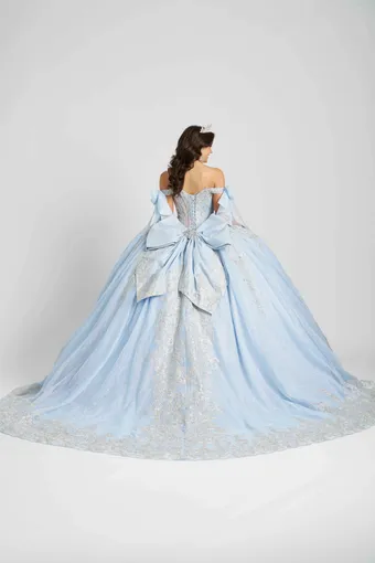 AmaBella Quinceanera Q1107 #5 backface vertical thumbnail