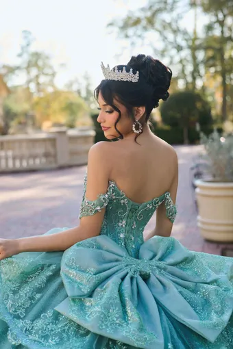 AmaBella Quinceanera Q1108 #12 backface vertical cropped thumbnail