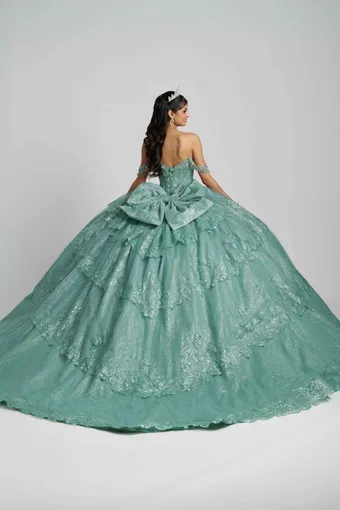 AmaBella Quinceanera Q1108 #5 default backface vertical thumbnail