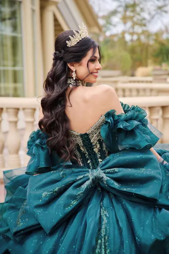 AmaBella Quinceanera Q1109 #11 backface vertical cropped thumbnail