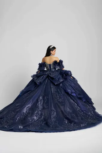 AmaBella Quinceanera Q1109 #3 backface vertical thumbnail