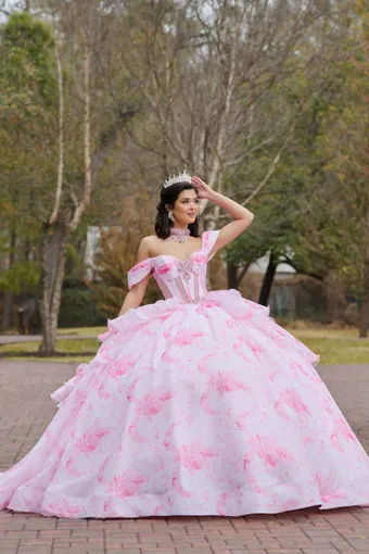 AmaBella Quinceanera Q1110 #2 frontface vertical thumbnail