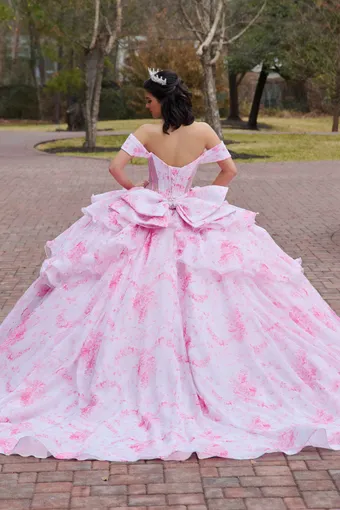 AmaBella Quinceanera Q1110 #4 default backface vertical thumbnail