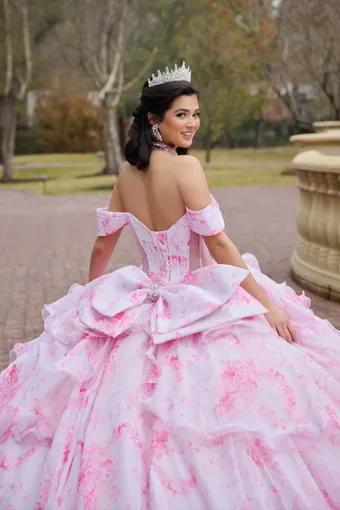 AmaBella Quinceanera Q1110 #11 backface vertical cropped thumbnail