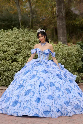 AmaBella Quinceanera Q1110 #0 default frontface vertical thumbnail