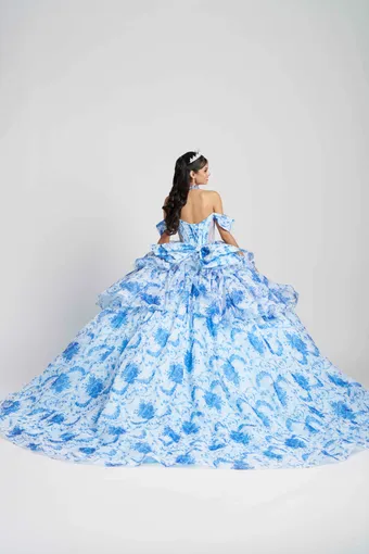 AmaBella Quinceanera Q1110 #3 backface vertical thumbnail