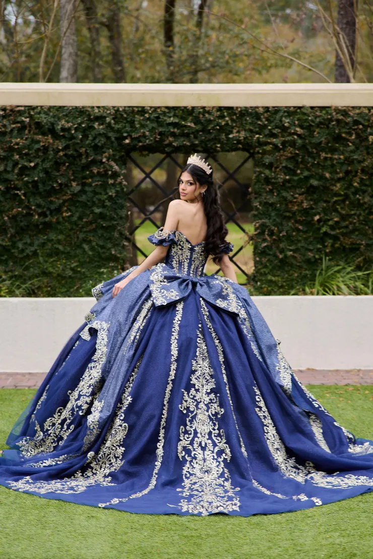 AmaBella Quinceanera Style #Q1113 #1 default Navy/Gold backface vertical picture