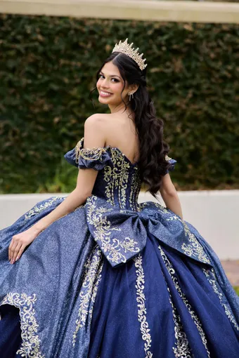 AmaBella Quinceanera Q1113 #12 backface vertical cropped thumbnail