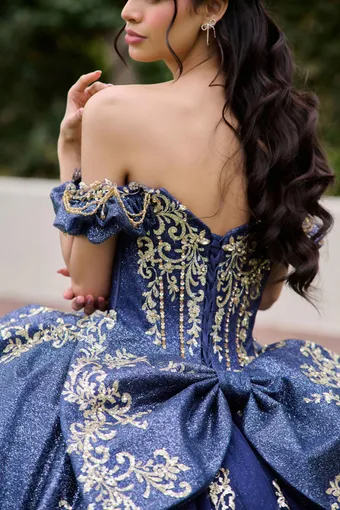 AmaBella Quinceanera Q1113 #13 backface vertical cropped thumbnail