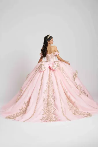 AmaBella Quinceanera Q1113 #4 backface vertical thumbnail