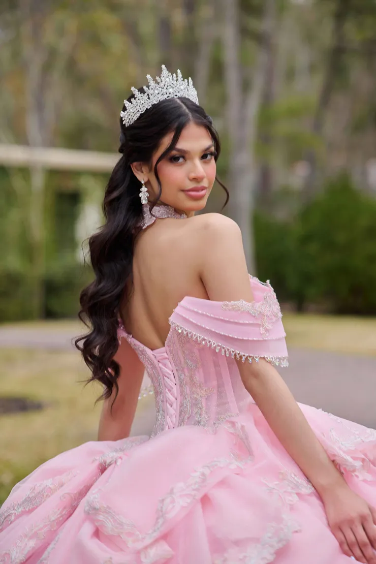 AmaBella Quinceanera Style #Q1114 #15 backface vertical cropped picture