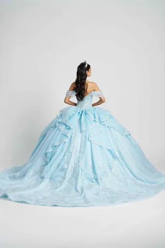 AmaBella Quinceanera Q1114 #6 backface vertical thumbnail