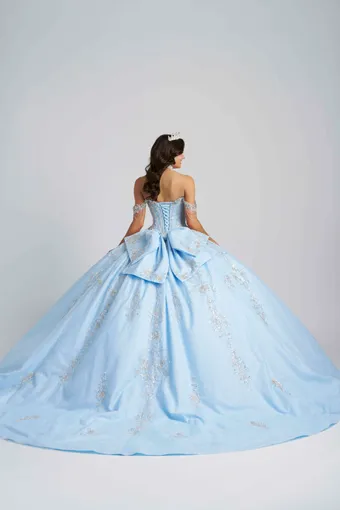 AmaBella Quinceanera Q1116 #6 backface vertical thumbnail