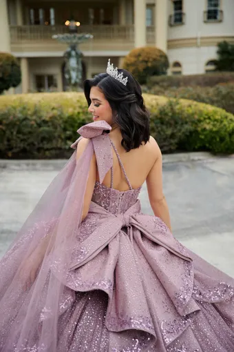 AmaBella Quinceanera Q1117 #14 backface vertical cropped thumbnail