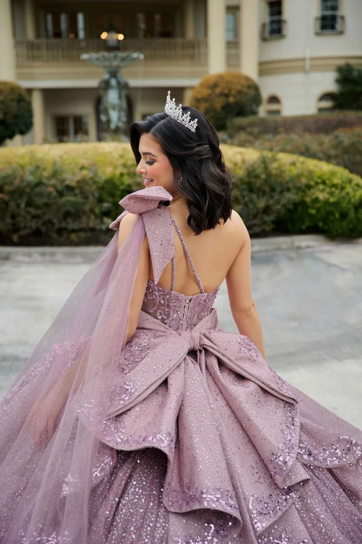 AmaBella Quinceanera Style #Q1117 #14 backface vertical cropped picture