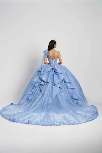 AmaBella Quinceanera Q1117 #5 backface vertical thumbnail