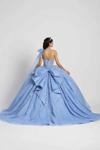 AmaBella Quinceanera Q1117 #4 backface vertical thumbnail