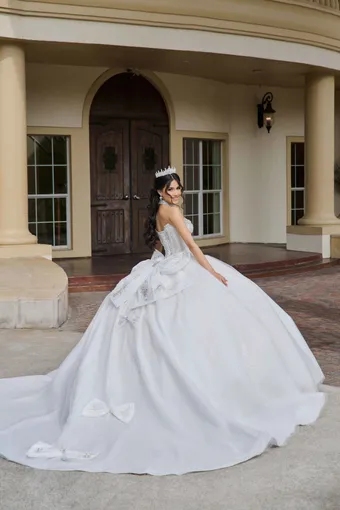 AmaBella Quinceanera Q1118 #5 default backface vertical thumbnail