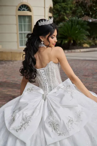 AmaBella Quinceanera Q1118 #13 backface vertical cropped thumbnail