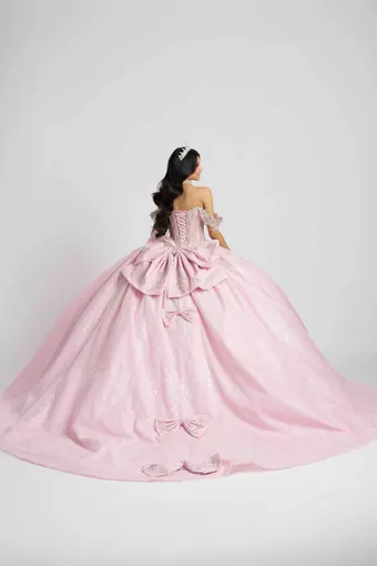 AmaBella Quinceanera Q1118 #6 backface vertical thumbnail