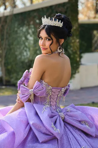 AmaBella Quinceanera Q1119 #19 backface vertical cropped thumbnail