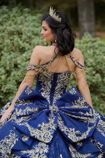AmaBella Quinceanera Q1120 #11 backface vertical cropped thumbnail