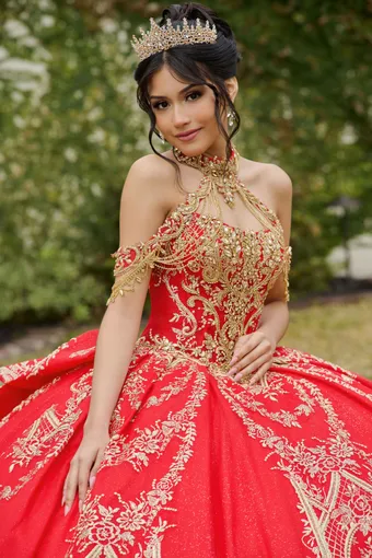 AmaBella Quinceanera Q1120 #5 frontface vertical cropped thumbnail