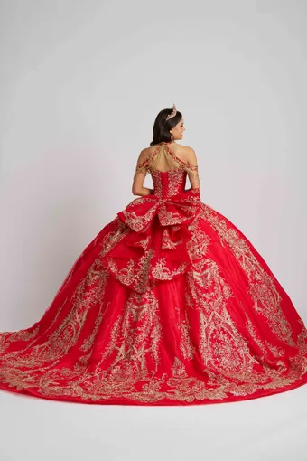 AmaBella Quinceanera Q1120 #4 backface vertical thumbnail