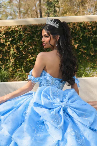 AmaBella Quinceanera Q1121 #12 backface vertical cropped thumbnail