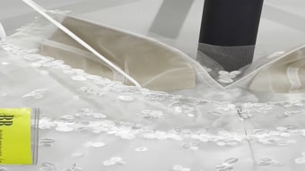 Aria Bride Begonia #1 autoplay loop mute thumbnail