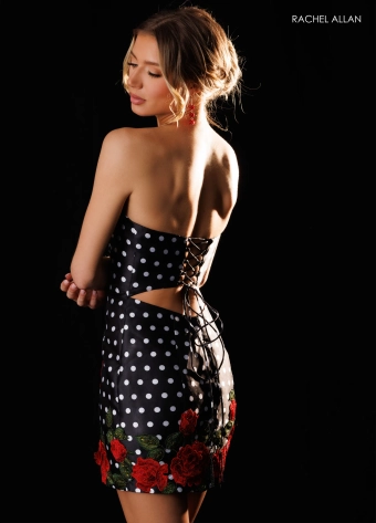 Rachel Allan Style #40700 $8 backface vertical cropped thumbnail