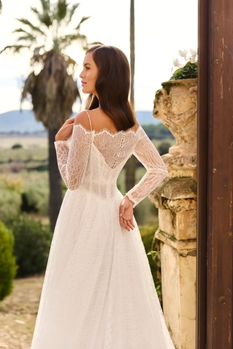 Monica Loretti 8370 #7 backface vertical cropped thumbnail