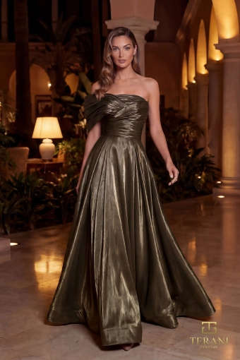 Terani 262E7103 #1 frontface vertical thumbnail