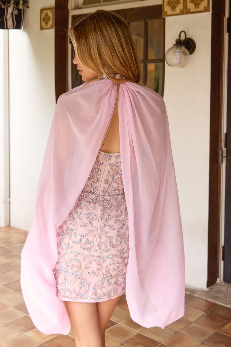 Primavera Couture Style #4649 #14 Blush backface vertical cropped picture