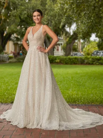 Christina Wu Brides 15800  A-Line V-Neck Wedding Dress with Shimmering Details #0 default frontface vertical thumbnail