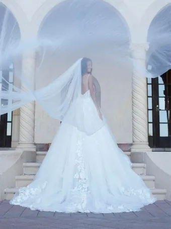 Christina Wu Brides 15831  Romantic Applique Ballgown Wedding Dress #2 backface vertical thumbnail